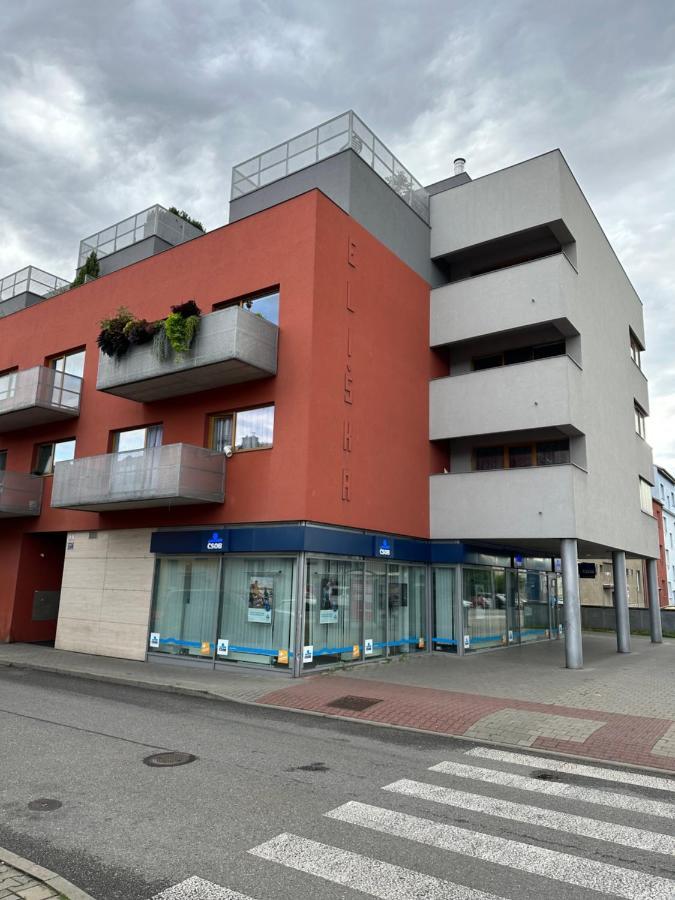 Apartments Spacilova Nearly Center Komarov Exterior photo